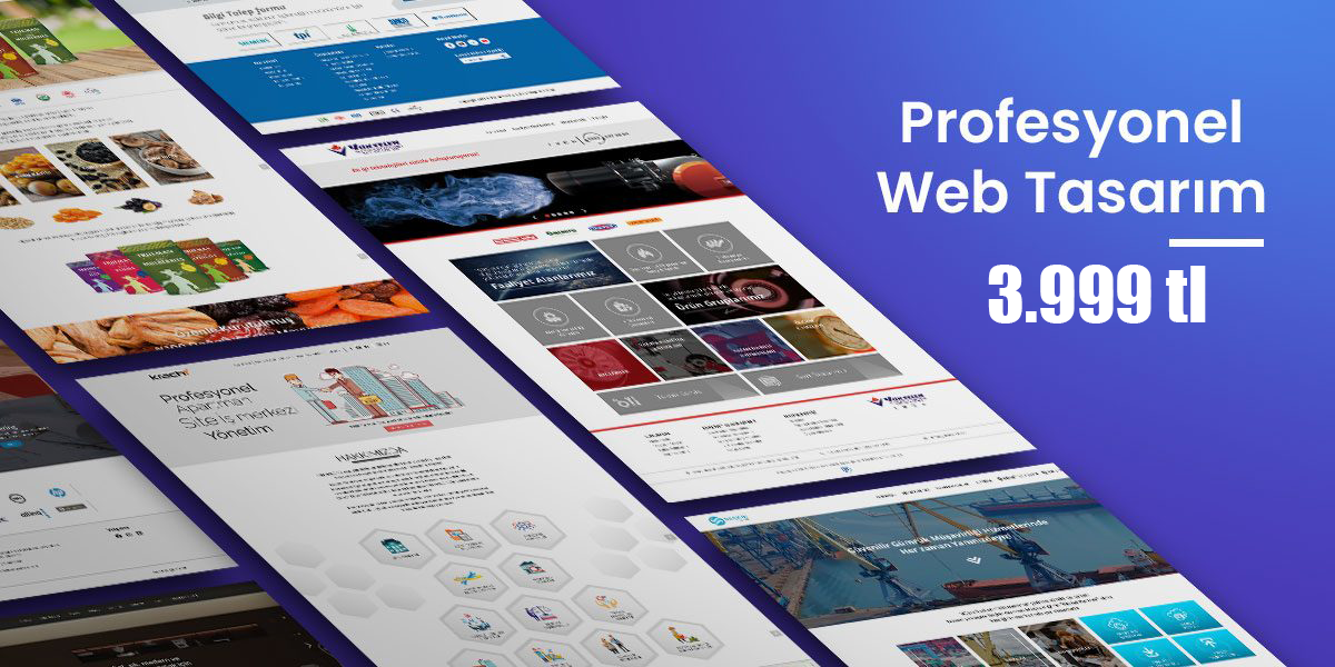 istanbul web tasarım fiyatları